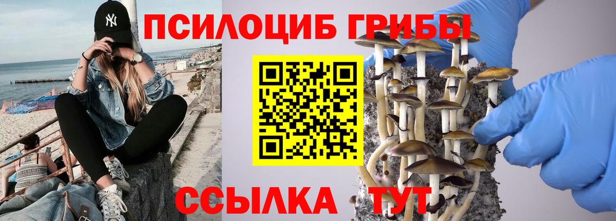 Нефтекамск  Псилоцибиновые грибы Psilocybine cubensis  Вход с VPN 