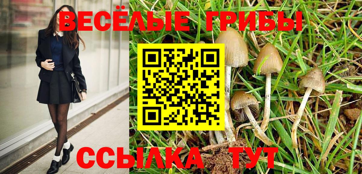 Псилоцибиновые грибы GOLDEN TEACHER Нефтекамск
